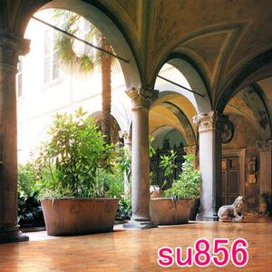 10'x10' SU856